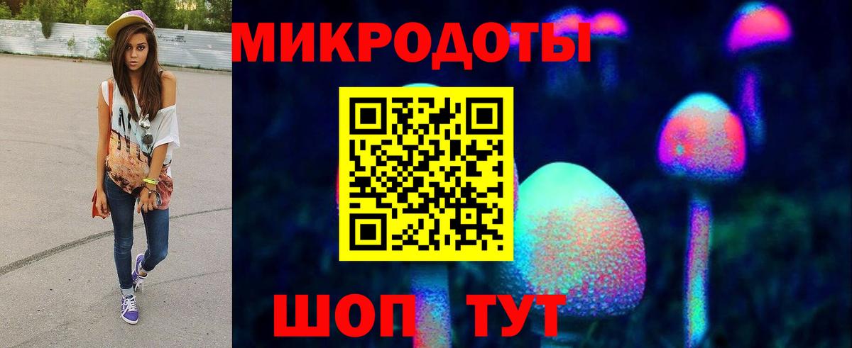 Котельники  Галлюциногенные грибы Psilocybine cubensis  Вход с VPN 