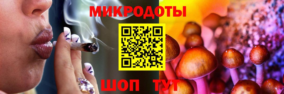 Псилоцибиновые грибы мицелий Котельники